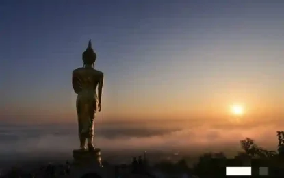 S__50159641_0_result