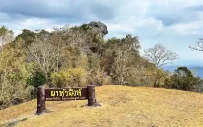 ผาหัวสิงห์_result