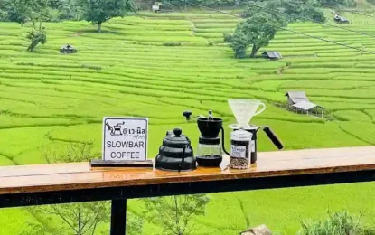 เว-นิส บ้านเวร คาเฟ่ 1_result