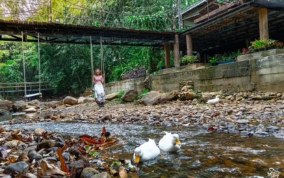 486064000_1076698391167137_6169078532911323459_n_result