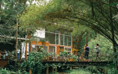 506663521_1612448030160218_7087568414559541660_n_result