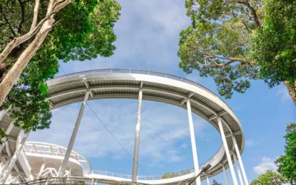 517121496_1636881017716919_3672666298226276098_n_result