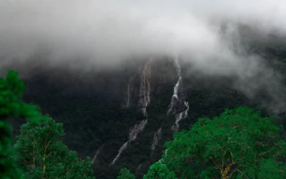 550553814_1708939773844376_5405854315108404155_n_result