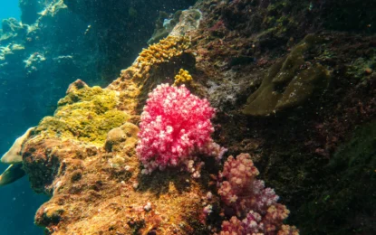 560349676_1732525664819120_7845696060789474896_n_result