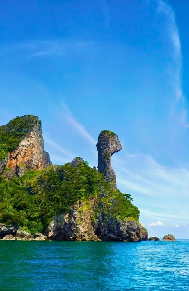 6500x1000-Southern_result (2)_result