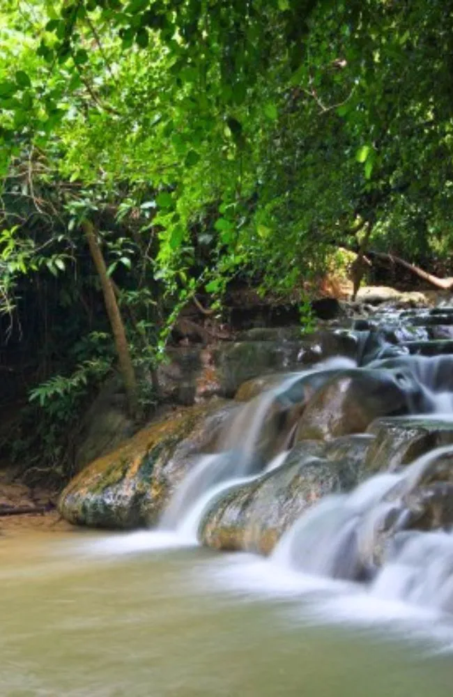 6500x1000-Southern_result (8)_result