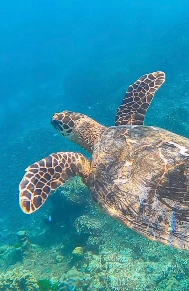 6500x1000-Southern_result (v2)_result (1)_result