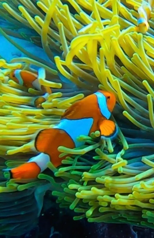 6500x1000-Southern_result (v2)_result (3)_result