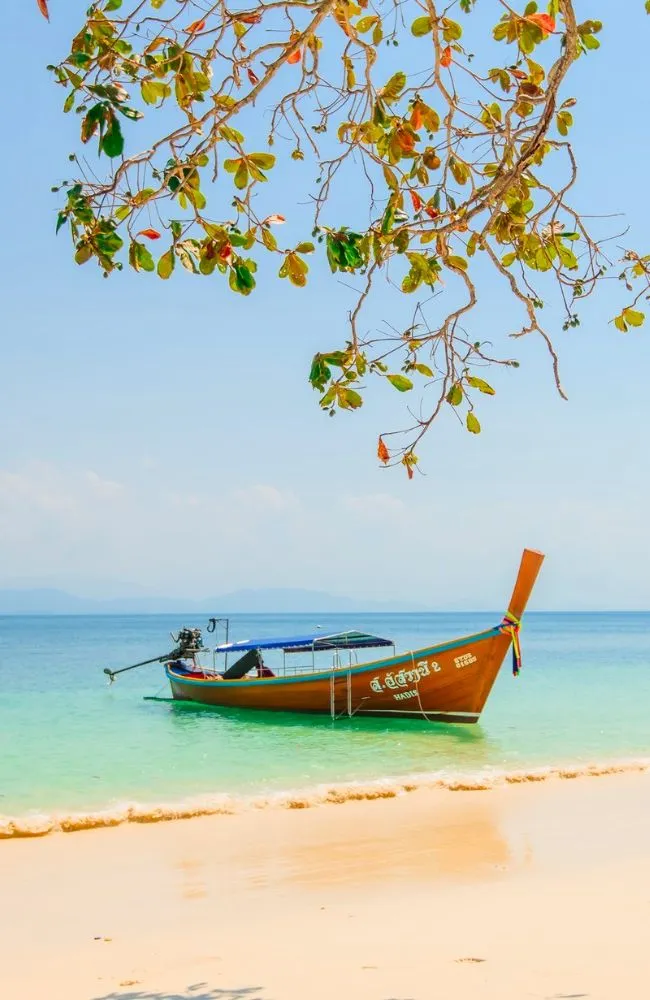 6500x1000-Southern_result (v2)_result (9)_result