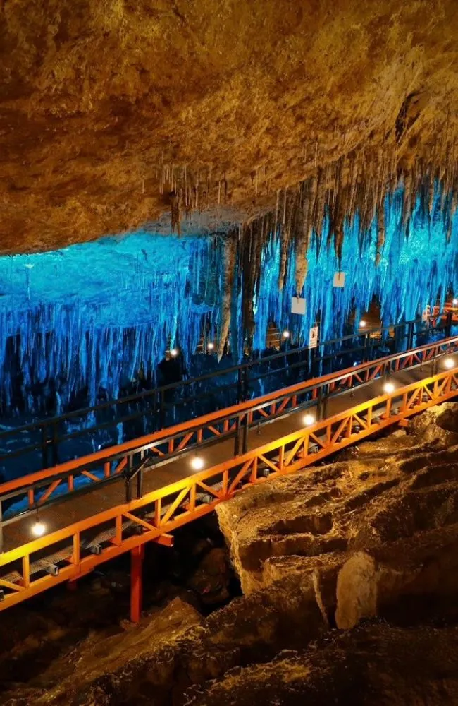 650x1000 slide tour_card Northeast (4)_result