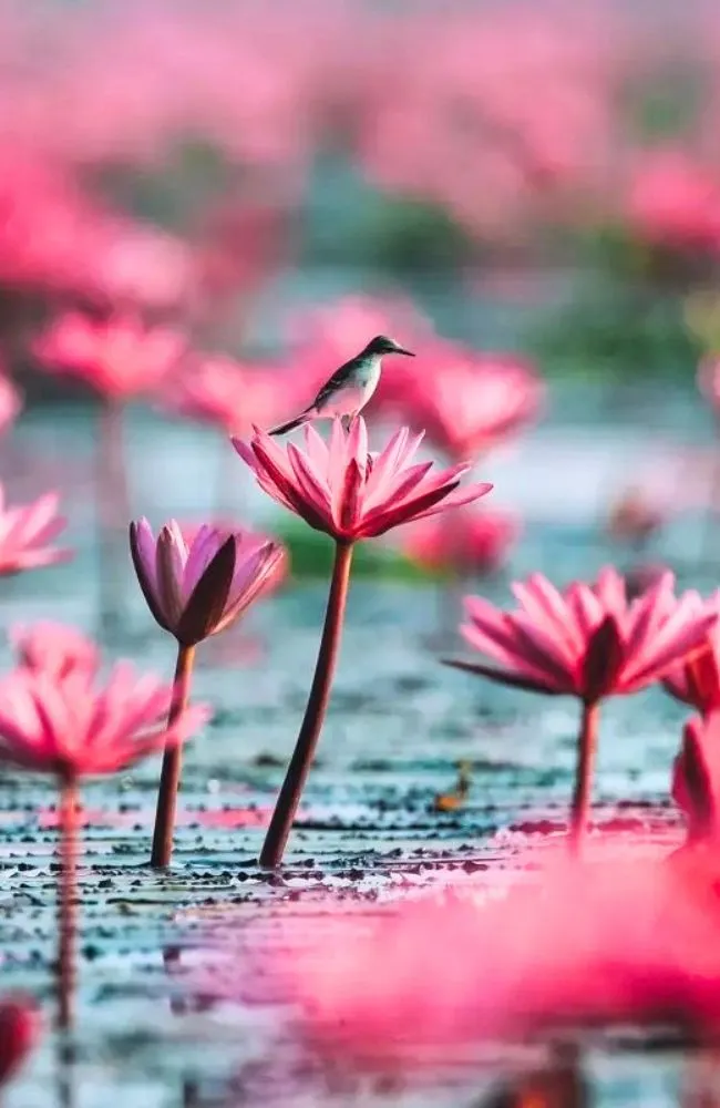 650x1000 slide tour_card Northeast-v2 (1)_result