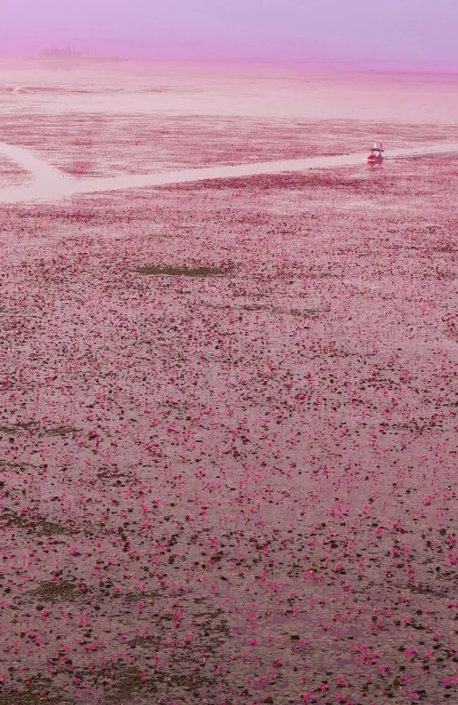 650x1000 slide tour_card Northeast-v2 (2)_result