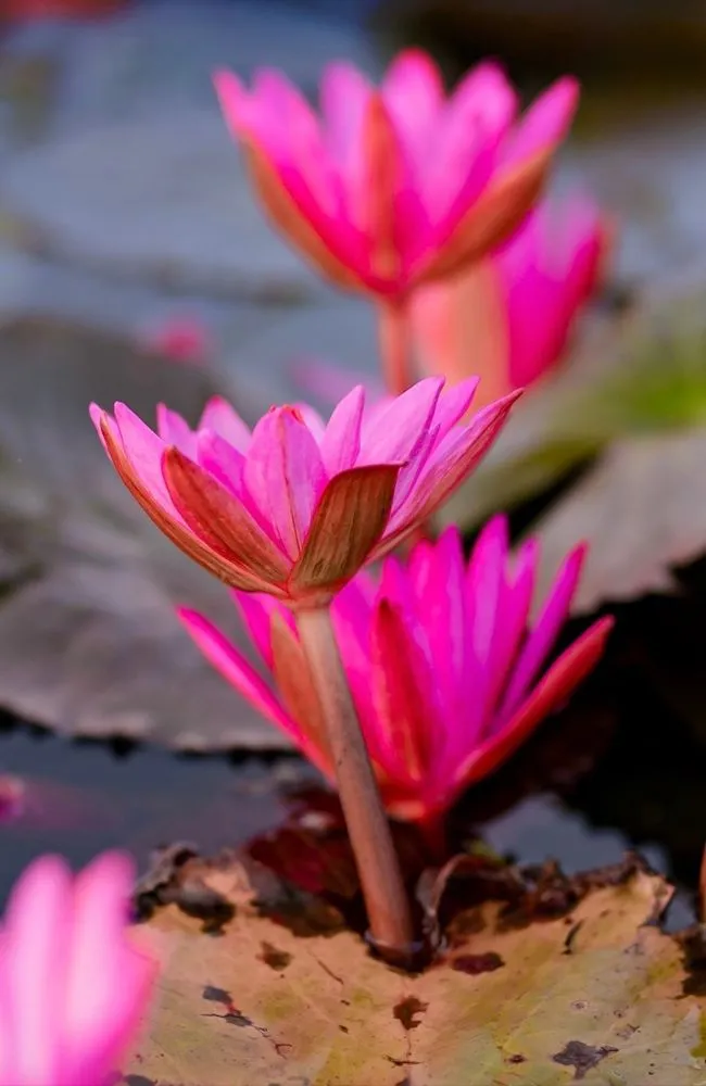 650x1000 slide tour_card Northeast-v2 (3)_result