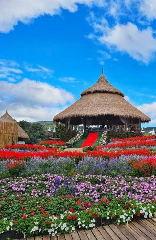 650x1000 slide tour_card-Northern Thailand Tour Programs (5)_result