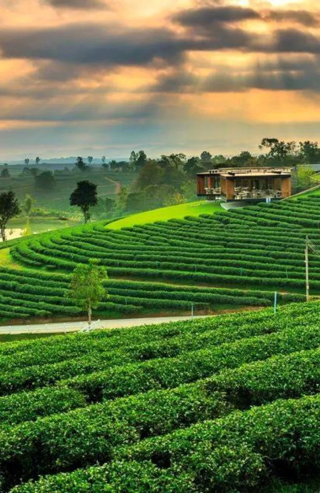 650x1000 slide tour_card-Northern Thailand Tour Programs (6)_result