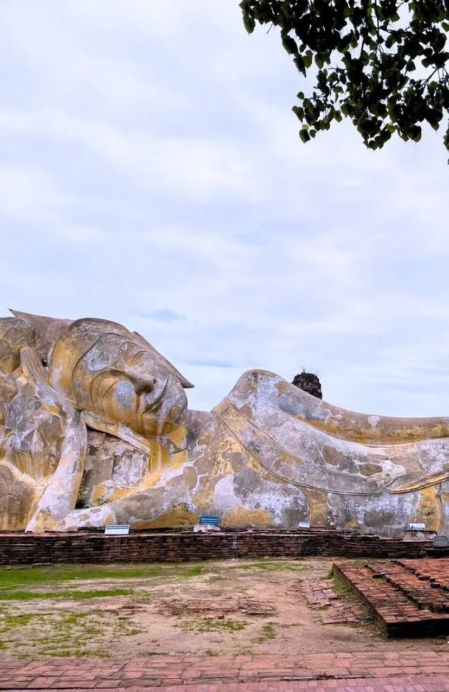 650x1000 slide tour_card (central) (4)