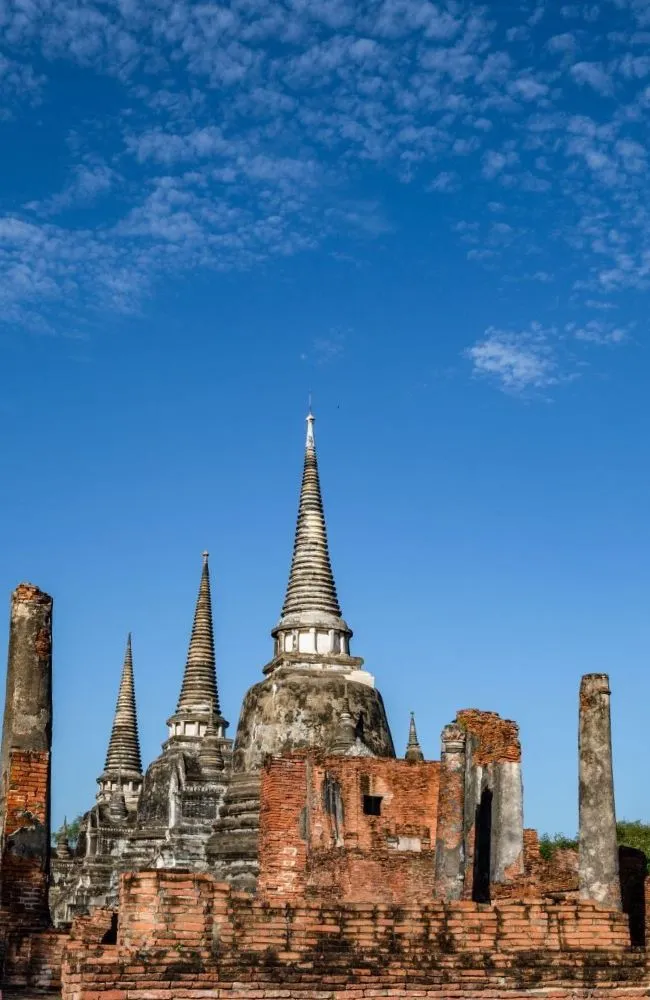 650x1000 slide tour_card (central) (8)