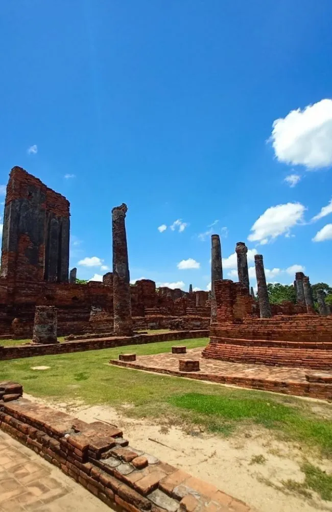 650x1000 slide tour_card (central) (9)