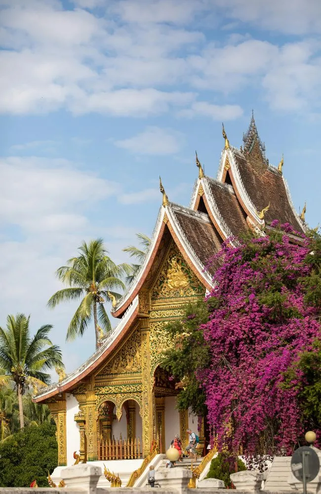 650x1000 slide tour_card-laos (5)_result