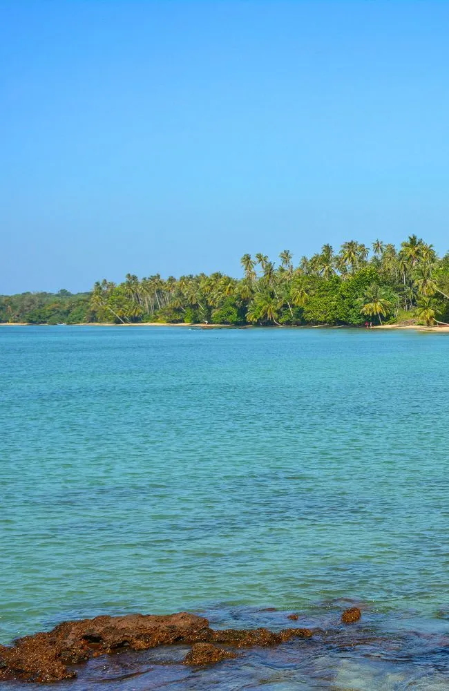 650x1000Eastern Region_result (6)_result