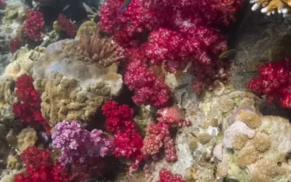 LINE_ALBUM_8968_250908_2_result