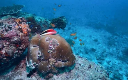 LINE_ALBUM_8968_250908_3_result