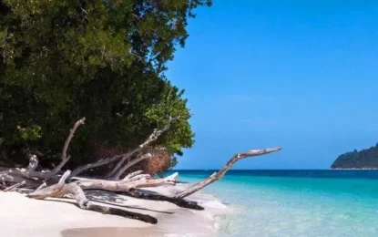 LINE_ALBUM_8968_250908_6_result