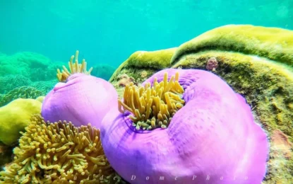 LINE_ALBUM_8968_250909_10_result