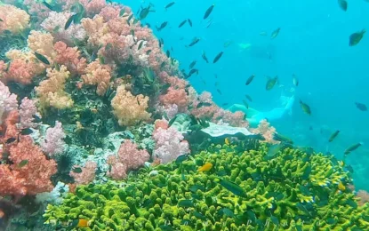 LINE_ALBUM_8968_250909_11_result