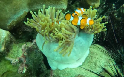 LINE_ALBUM_8968_250909_18_result