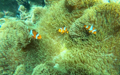 LINE_ALBUM_8968_250909_22_result