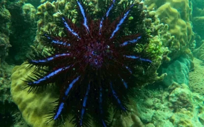 LINE_ALBUM_8968_250909_23_result