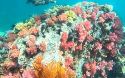 LINE_ALBUM_8968_250909_24_result