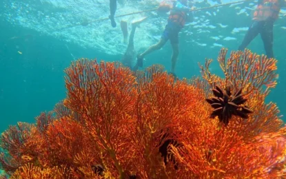 LINE_ALBUM_8968_250909_28_result