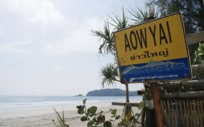 S__51093531_0_result