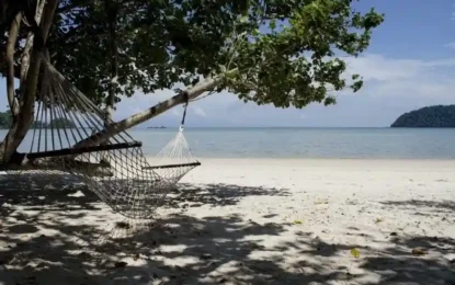 S__51093533_0_result