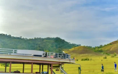 S__51093535_0_result