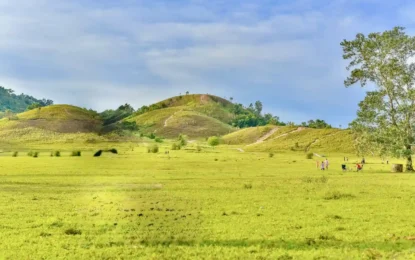 S__51093537_0_result