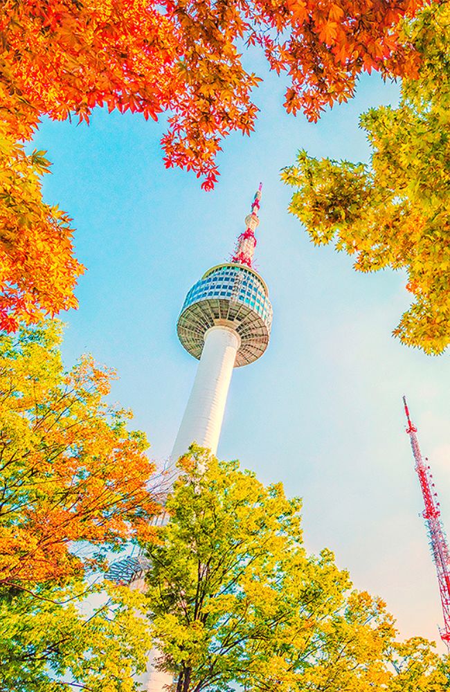 South Korea650x1000 slide tour_card (1)