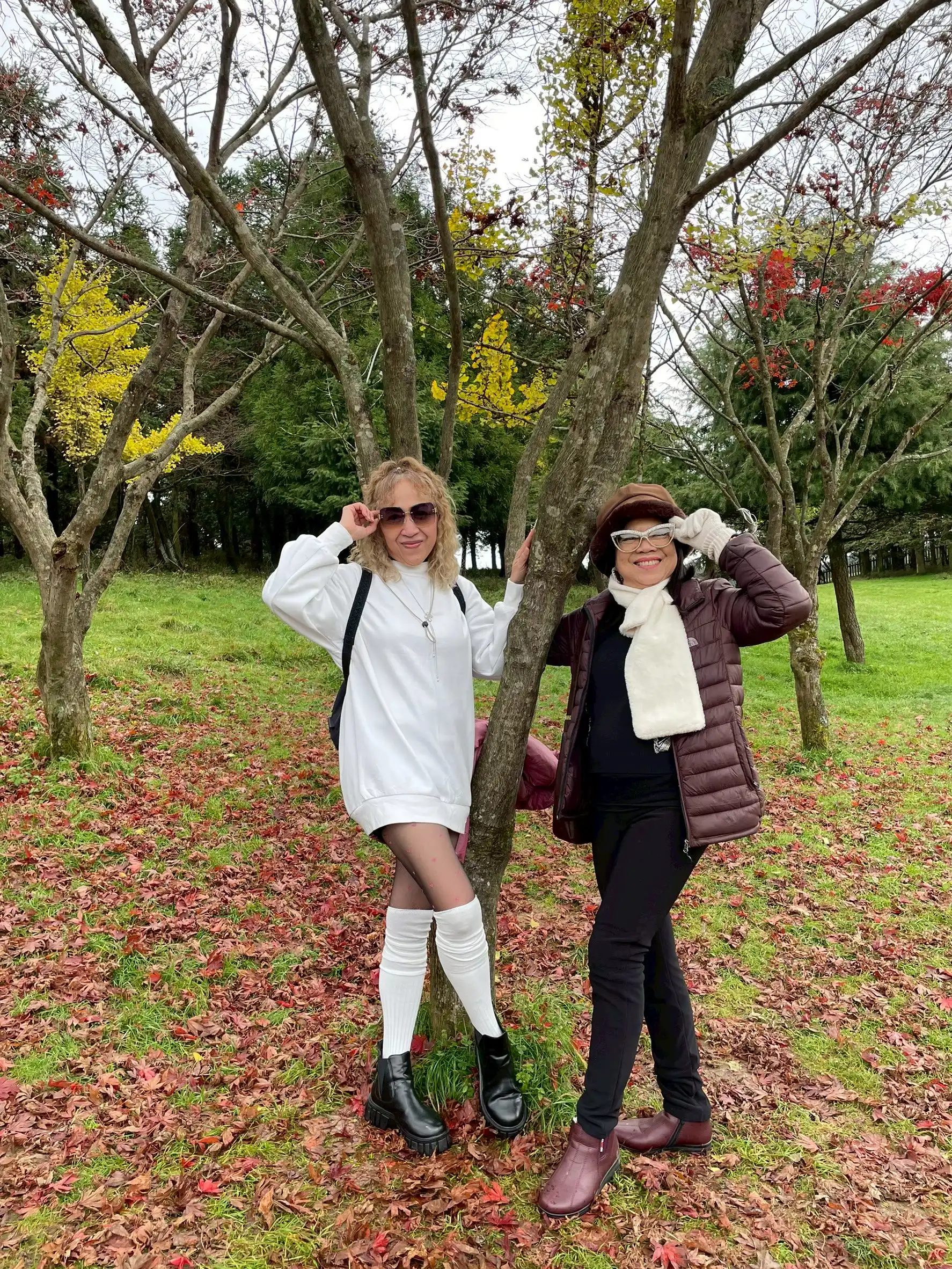 chongqing-wulong-nature-nov-2025h (7)