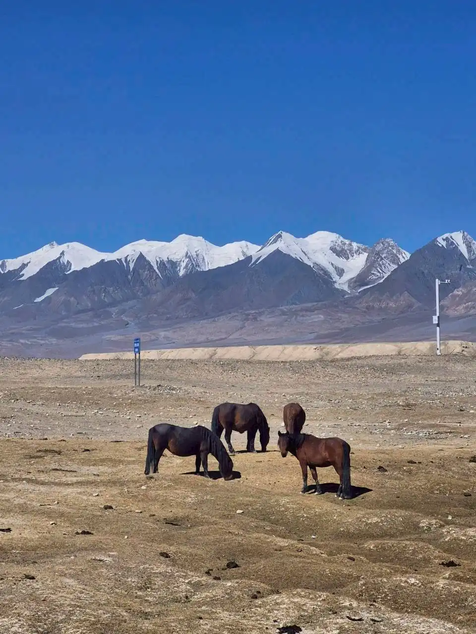 explore-south-xinjiang-silk-road-oct-2025h (8)