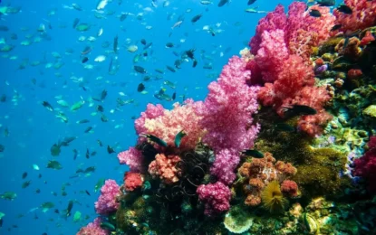 messageImage_1766737583425_result