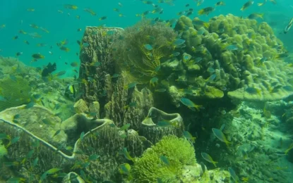 messageImage_1766737816412_result